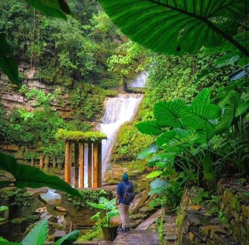 Cascada rodeada de vegetación